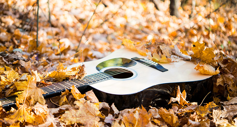 Bulletin météo pour guitares & basses